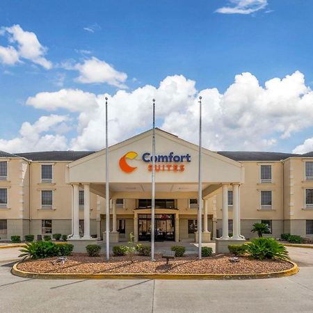 Comfort Suites Port Allen - Baton Rouge Ngoại thất bức ảnh
