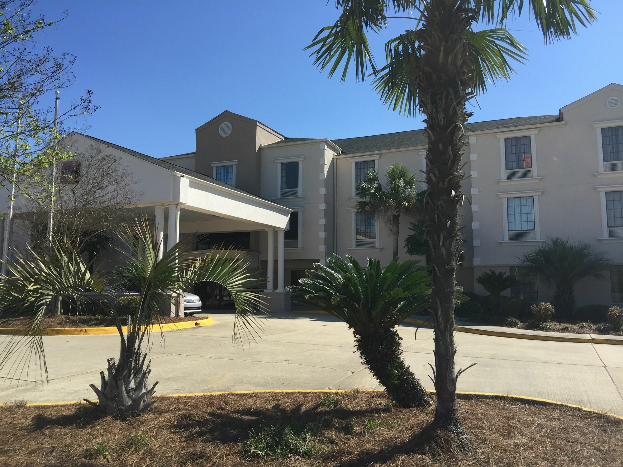 Comfort Suites Port Allen - Baton Rouge Ngoại thất bức ảnh